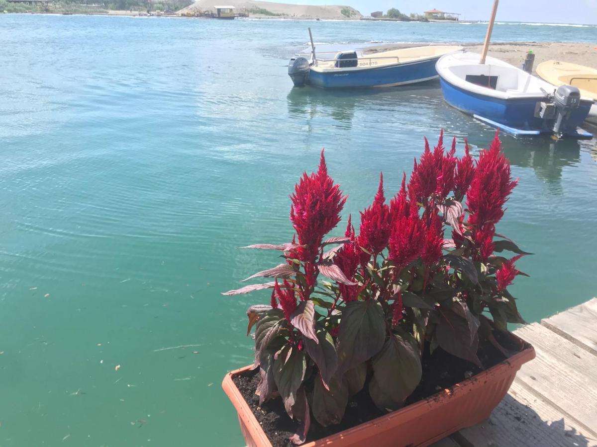 Tatil Evi Kucica Na Adi Bojani